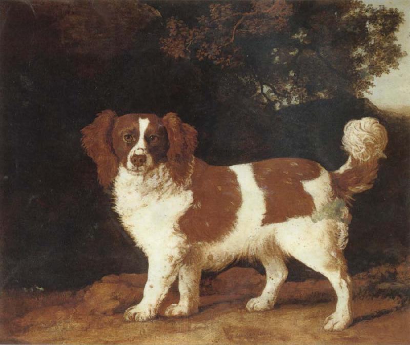 George Stubbs Dog Spain oil painting art